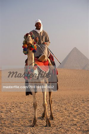 300px x 450px - Rider on Camel, Giza Pyramids, Giza, Egypt - Stock Photo - Masterfile -  Rights-Managed, Artist: Gail Mooney, Code: 700-01043612
