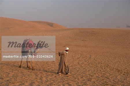 Man Leading Camel in the Desert, Giza, Egypt Man Leading Camel in the Desert, Giza, Egypt