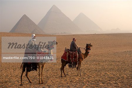 Riders on Camels, Giza Pyramids Giza, Egypt