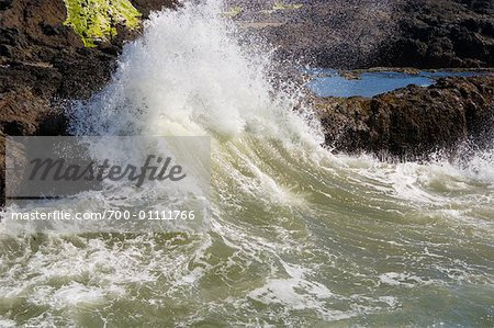 Crashing Wave, Oregon Coast, USA