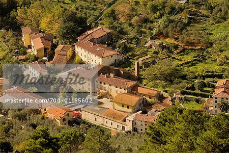 Houses Near Lucca, Tuscany, Italy