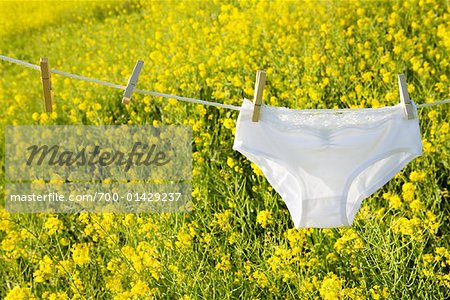 Woman hanging oversized underwear on a clothesline. - Stock Photo -  Masterfile - Premium Royalty-Free, Code: 673-02138553