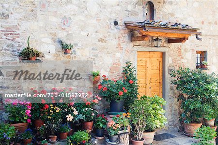 Potted Plants Outside Building, Chianti Region, Tuscany, Italy