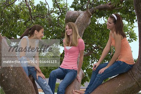 Teenaged Girls Sitting in Tree