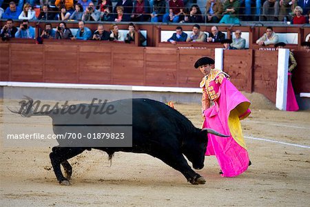 Bullfighting, Plaza de Toros de las Ventas, Madrid, Spain
