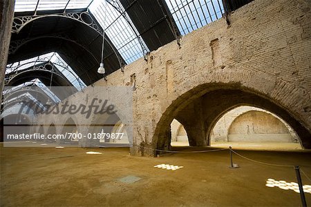 Reales Atarazanas Maritime Museum, Seville, Spain