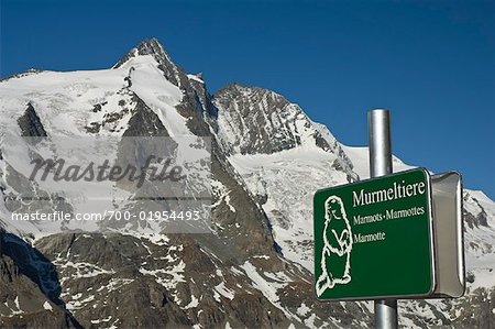 Marmot Sign, Mt Grossglockner, Salzburger Land, Austria