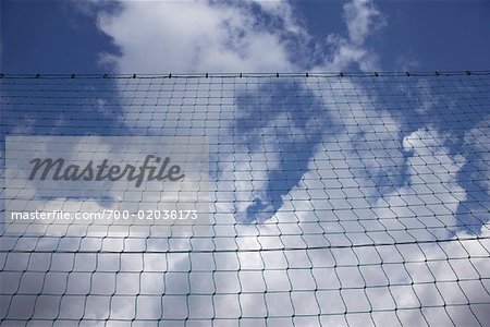 Looking Up at Fence