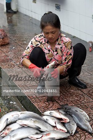 Female Fishmonger Cleaning Fish Rubber Gloves Stock Photo