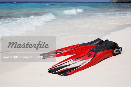 Flippers, Kralendijk, Bonaire, Netherlands Antilles