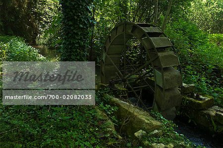 Watermill in Forest, Villeneuve, a l'Archeveque, Burgundy, France