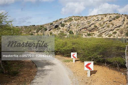 Arrows and Curved Road, Gotomeer, Bonaire, Netherlands Antilles