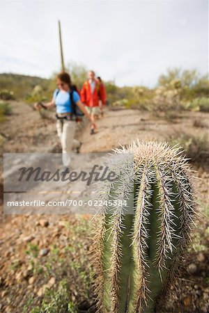 People Hiking in Desert, Saguaro National Park, Arizona, USA