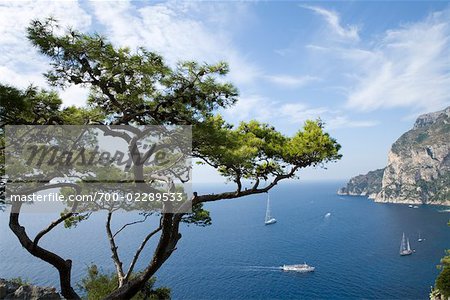 View of Capri From Belvedere di Migliara, Gulf of Naples, Campania, Naples, Italy