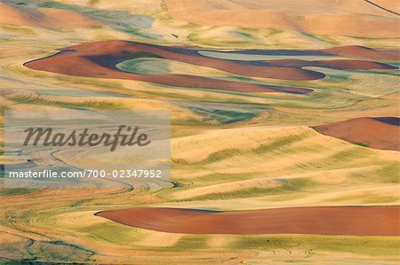 Aerial of Fields, Palouse, Whitman County, Washington State, USA