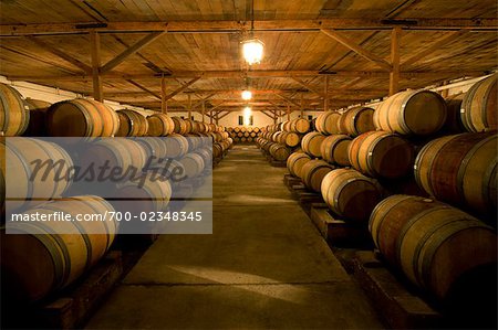 Wine Cellar in Maipo Valley, Santiago, Talagante, Chile