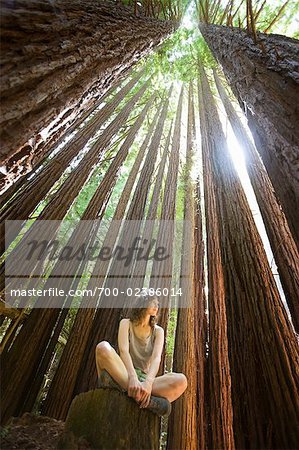 Woman Sitting on Tree Trunk in Forest, Santa Cruz, California, USA Woman Sitting on Tree Trunk in Forest, Santa Cruz, California, USA