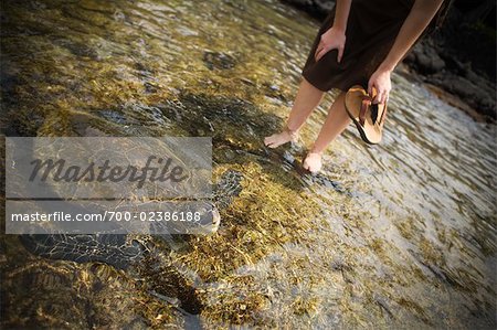 Woman Watching Sea Turtle in Lagoon, Big Island, Hawaii