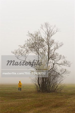 Man Walking in Fog Covered Field, Fuschlsee, Fuschl am See, Salzkammergut, Salzburger Land, Austria