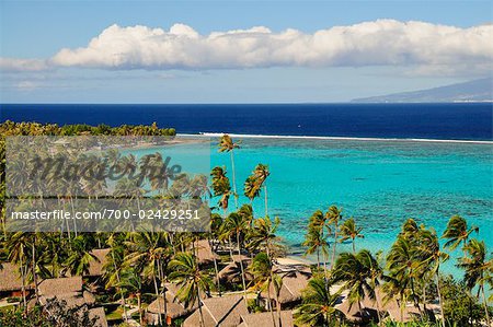 Temae Beach, Moorea, Society Islands, French Polynesia, South Pacific