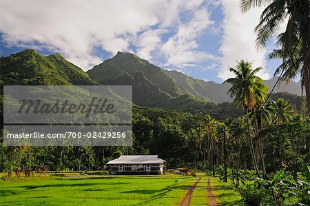 Farm Near Mt Oropiro, Raiatea, Society Islands, French Polynesia South Pacific