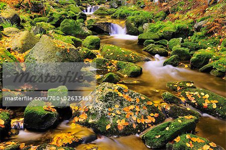 Kleine Ohe River, Bayerischer Wald, Bavaria, Germany