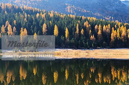 Mountain, Forest and Lake, Lej da Staz, St Moritz, Switzerland