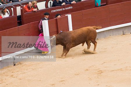 Bullfighting, Plaza de Toros de Las Ventas, Madrid, Spain