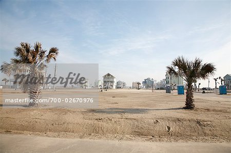 Pelican Beach, Galveston, Texas, USA