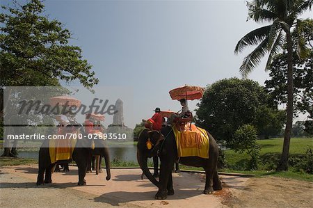 People Riding on Elephants, Ayutthaya, Thailand