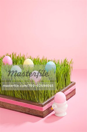 Easter Eggs in Grass Filled Tray