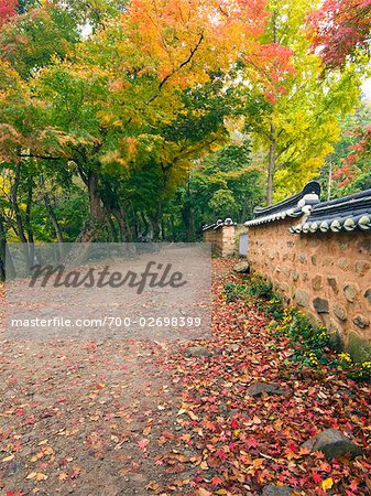 Temple Wall and Autumn Leaves, Seonun Temple, Mt Seonun, Seonunsan Provincial Park, Jeollabuk-do, South Korea