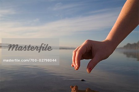 Hand Picking Stone Photos and Images