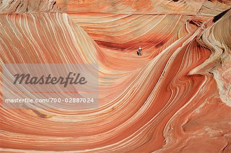 Sandstone Wave, Paria Canyon, Vermillion Cliffs Wilderness, Arizona, USA