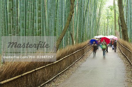 Bamboo Forest Sagano Arashiyama Kyoto Kyoto Prefecture Kansai Honshu Japan Stock Photo Masterfile Rights Managed Artist Rudy Sulgan Code 700