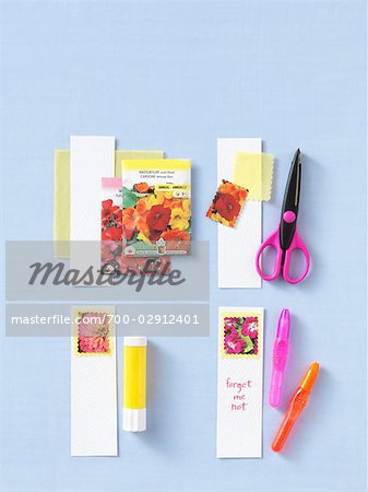 Making Seed and Flower Labels
