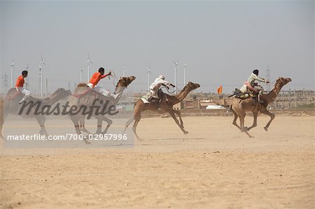 Camel Festival, Jaisalmer, Rajasthan, India