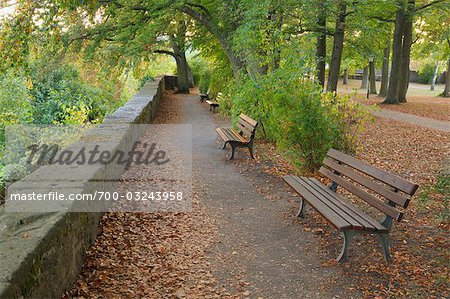 Park Bench, Rothenburg ob der Tauber, Ansbach District, Bavaria, Germany