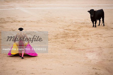 Matador and Bull, Plaza de Toros. Madrid, Spain