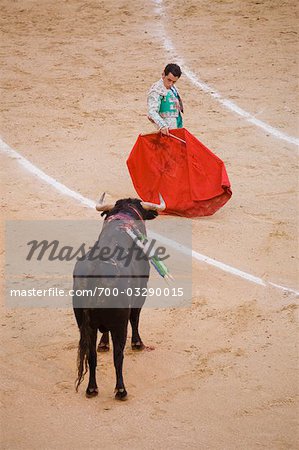 Matador and Bull, Plaza de Toros. Madrid, Spain