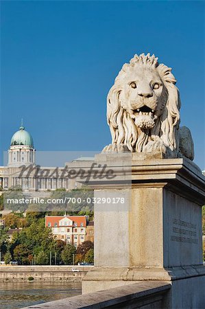 Chain Bridge Lion and Royal Palace in Background, Buda, Budapest, Hungary
