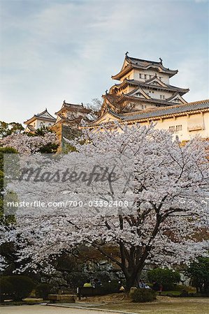 Himeji Castle, Himeji City, Hyogo, Kansai Region, Honshu, Japan