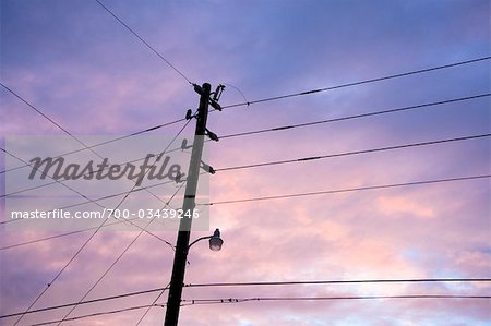 Telephone Pole at Sunset, Spring Hill, Florida, USA