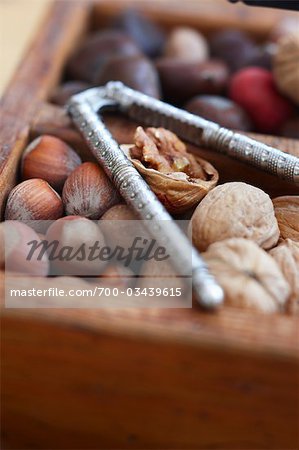 Hazelnuts and Walnuts with Nutcracker