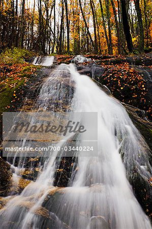 Waterfall, along Skyline Drive, Virginia, USA