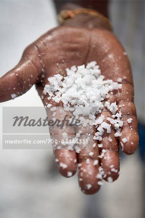 Salt Farmer Holding Salt, Andhra Pradesh, India