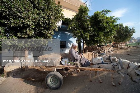 Man Driving Cart, Luxor, Egypt