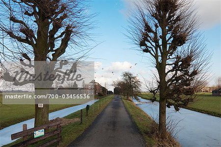 Road between Ditches leading to Farm, South Holland, Netherlands