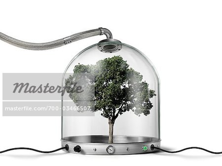 Tree inside Pressurized Glass Dome
