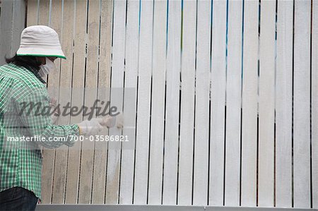 Woman Painting Fence